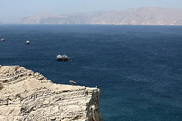 Иран обяви, че Ормузкият проток е затворен. Защо е толкова важен?