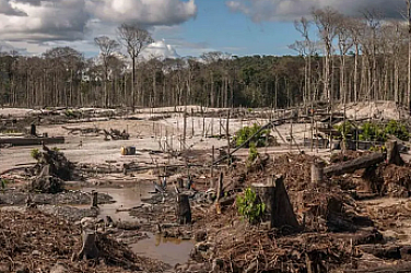 „За разлика от динозаврите, ние знаем какво идва“: Oстро предупреждение за климатичен срив