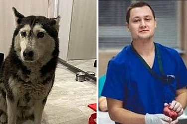 2972 души настояват ВМА да уволни д-р Цоневски за прегазването на кучето Мая