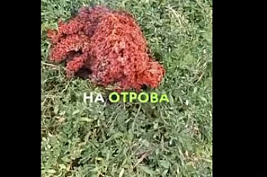 Паника в Якоруда: Тайнствен обект падна от небето