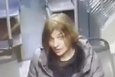 Жената е намушкала четиримата германци, защото не говорели български