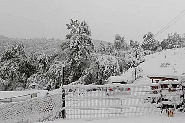 20 см сняг в Русенско, има села без ток