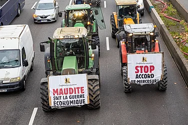 От германската индустрия до Амазонската джунгла: Кой печели и кой губи от сделката ЕС-Меркосур?