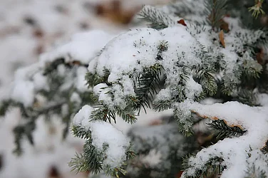 Студеното време продължава, жълт код за седем области