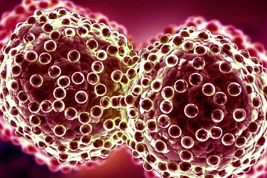 Български учен направи пробив в борбата с рака