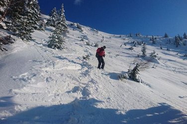 Откриха жив и контактен изчезналия на Витоша 22-годишен мъж