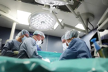 Донор в Пловдив спаси три живота, нуждата от трансплантации остава голяма