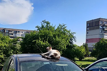 Слънчев и пролетен четвъртък ни чака днес