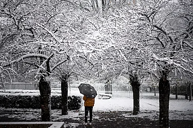 Дъждове, които ще преминат в снеговалеж, в цялата страна. Внимавайте за поледици!