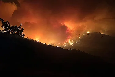 Европа е опасно неподготвена за горски пожари. Каква е ситуацията в България?