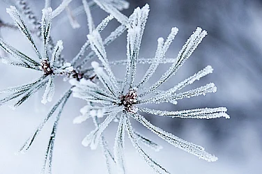 В съседна Румъния: Най-студената сутрин от 60 години