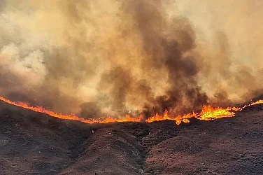 Горски пожари бушуват в Япония. Хиляди са евакуирани