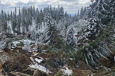 Свлачището на пътя Пампорово-Смолян остава активно. И край Стойките има свличане