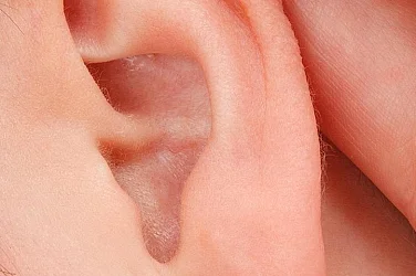 Спортът отвъд слуха – да гледаш, да усещаш, да преживяваш без звук