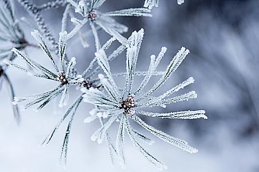 Минус 13,8 градуса в Кнежа тази сутрин, сняг до 21 см в региона