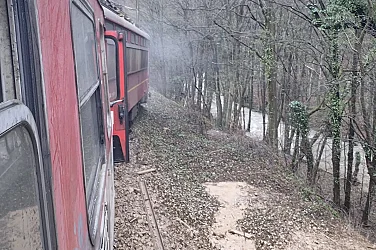 Влак дерайлира край Мъглиж след удар в скали, въпроси за безопасността в БДЖ