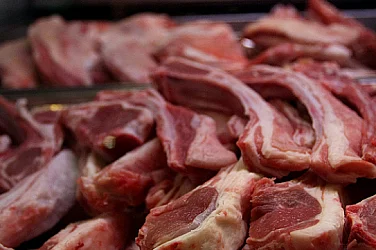 800 агнета изчезнаха мистериозно от Свищов, има риск да са стигнали до пазара