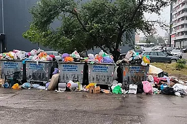 Шест района на София с осигурено сметопочистване, една зона остава проблемна