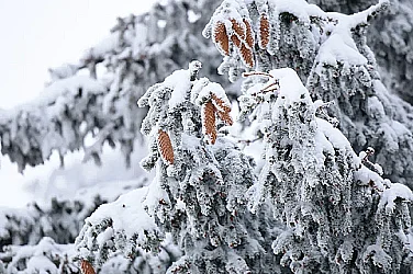 Зимата на 2025/2026 г.: По-топла от нормата, но с много опасно време