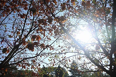 Седмицата започва с топло за сезона време