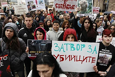 „Затвор за насилниците на животни“: Протест срещу Габриела и Красимир