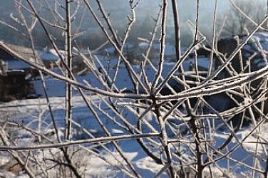 Студен петък, ледени ветрове