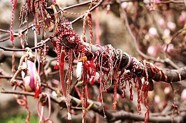 Бяло, червено и... зелено: Как да пазим обичая с мартениците и природата едновременно?