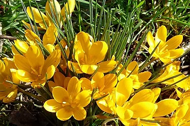 Слънчева неделя, температури 10° - 15°