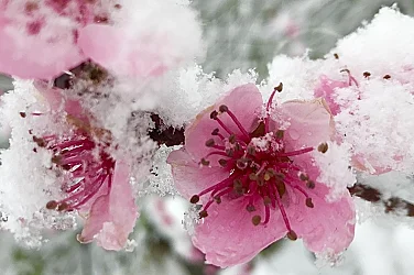 Силен дъжд и гръмотевици през уикенда, слънце чак на Цветница