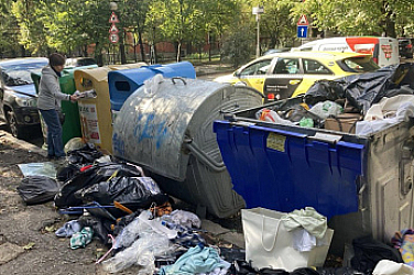 Бездомни животни нападат кофите за боклук в София