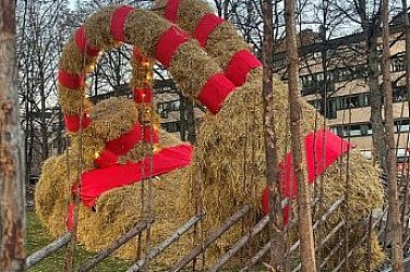 Известната шведска сламена коза не оцеля по време на празниците