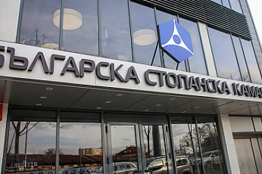 Мария Минчева от БСК: Да се съкратят 5000 места в администрацията