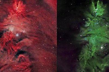 Космическа коледна елха: Астрономите са регистрирали необичаен звезден куп