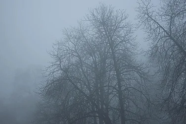 Температури до 10 градуса и мъгли: Времето днес