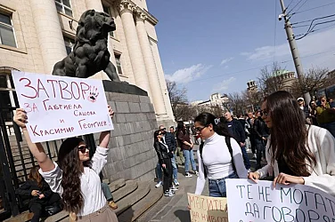 Протест за ефективни присъди срещу мъчителите на животни Габриела и Красимир