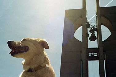 Слънчева и топла сряда, температури до 21°