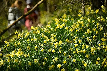 Предимно слънчева събота