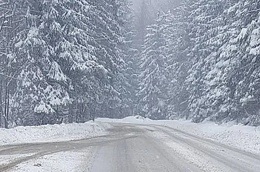 Снегът блокира камион и затрудни движението през Петрохан