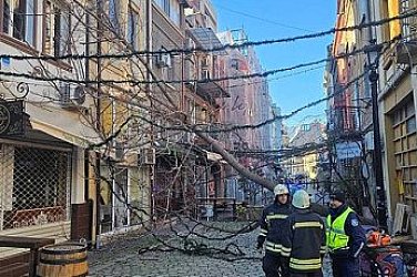 Вятърът беснее по градове и села