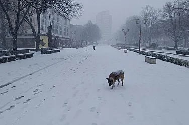 Жълт код: Студ и ледени дни в цяла България