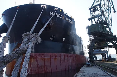 Първият аржентински слънчоглед пристигна: Печелим или губим от сделката с Меркосур