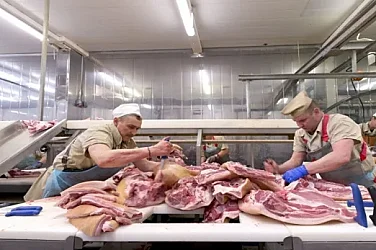 Откриха незаконни кланици и в Кърджалийско