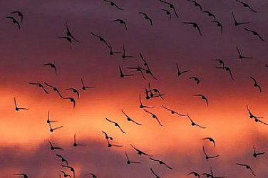 Слънчева декемврийска сряда, температури 10°-13°