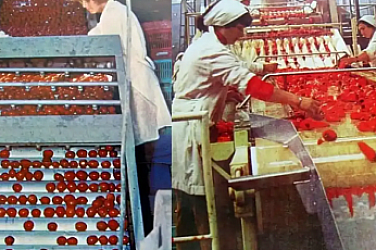 Продават легендата на социализма завод 