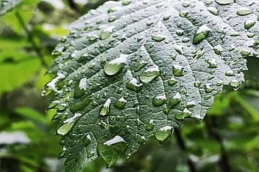 Валежи в половин България, температури между 4° и 9°