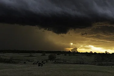 От студени вълни до 40-градусови жеги: Поредица климатични бедствия в България през 2025 г.