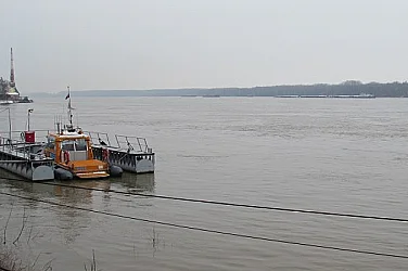 Мазни петна и загинал къдроглав пеликан по Дунав вдигнаха на крак експертите