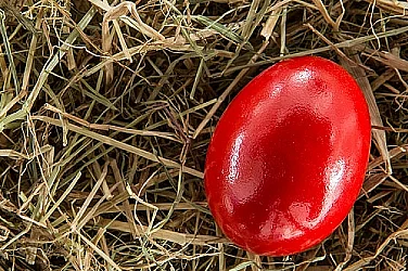 Благодат в Бачково: Доброволци боядисаха 2026 червени яйца за здраве и мир