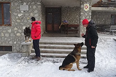 42-годишна прекара нощта в гората при ледени температури – спасиха я в последния момент