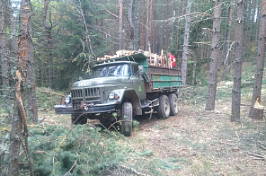 Шофьор на камион скочи в движение, удрят го дърва за огрев